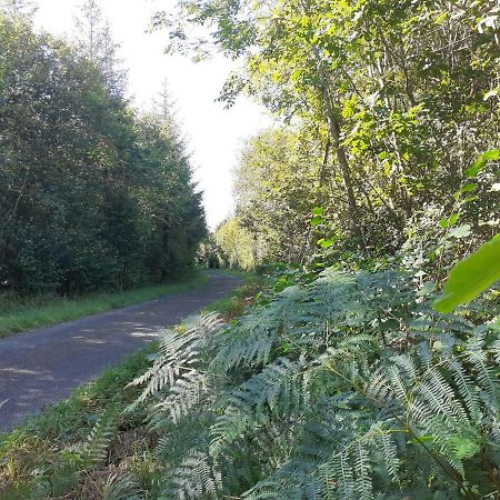 Tig Na Coille B&B Country House Kilkenny Exteriör bild