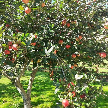 Tig Na Coille B&B Country House Kilkenny Exteriör bild