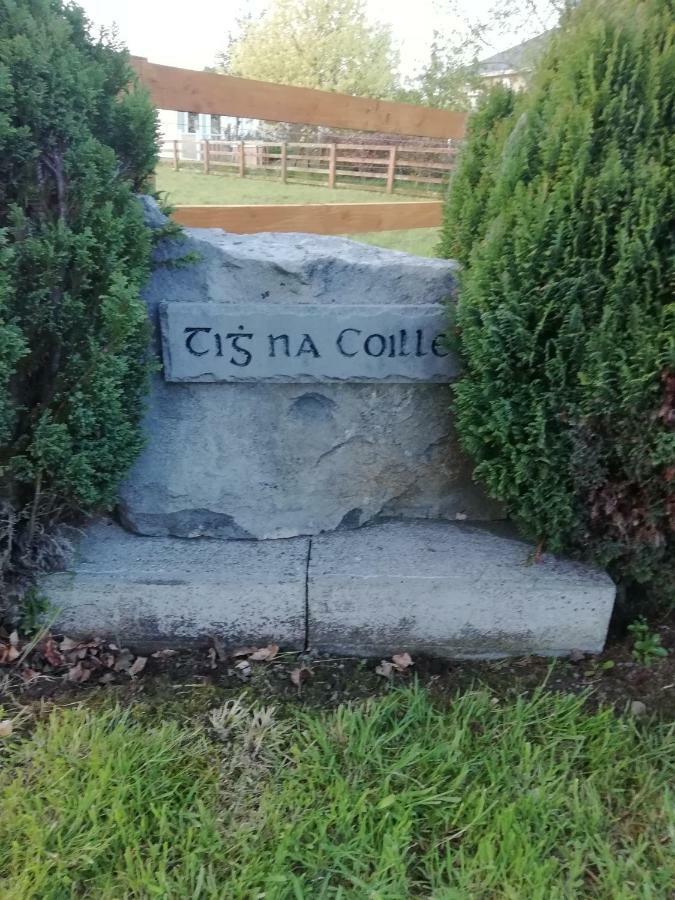 Tig Na Coille B&B Country House Kilkenny Exteriör bild