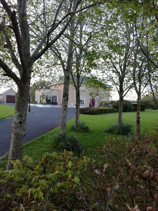 Tig Na Coille B&B Country House Kilkenny Exteriör bild