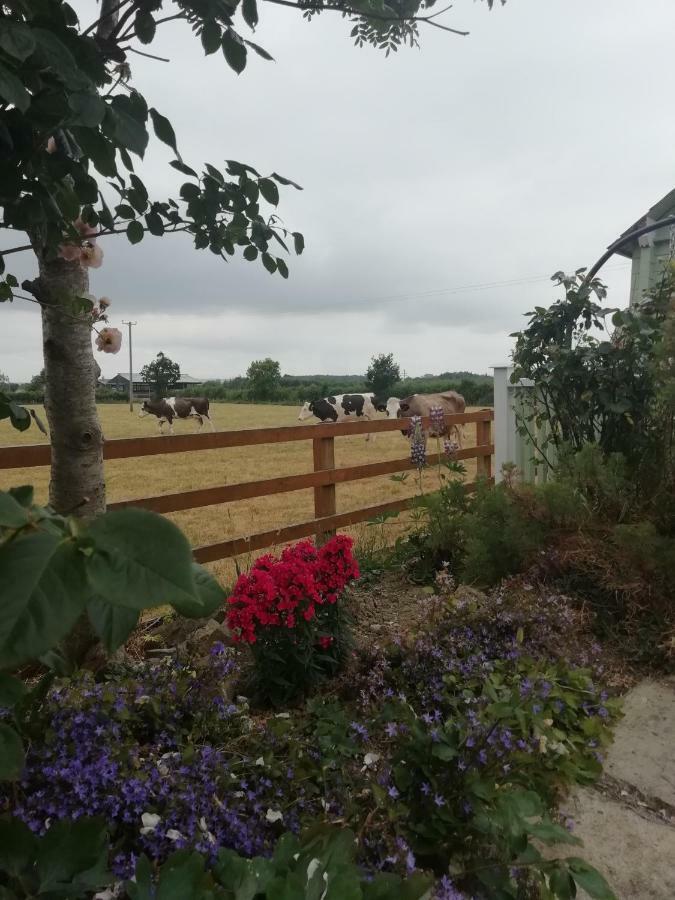 Tig Na Coille B&B Country House Kilkenny Exteriör bild