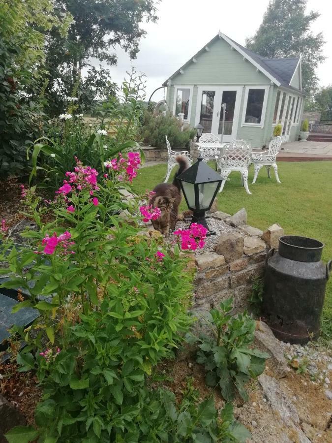 Tig Na Coille B&B Country House Kilkenny Exteriör bild