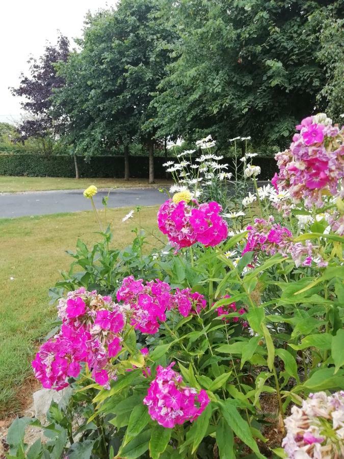 Tig Na Coille B&B Country House Kilkenny Exteriör bild