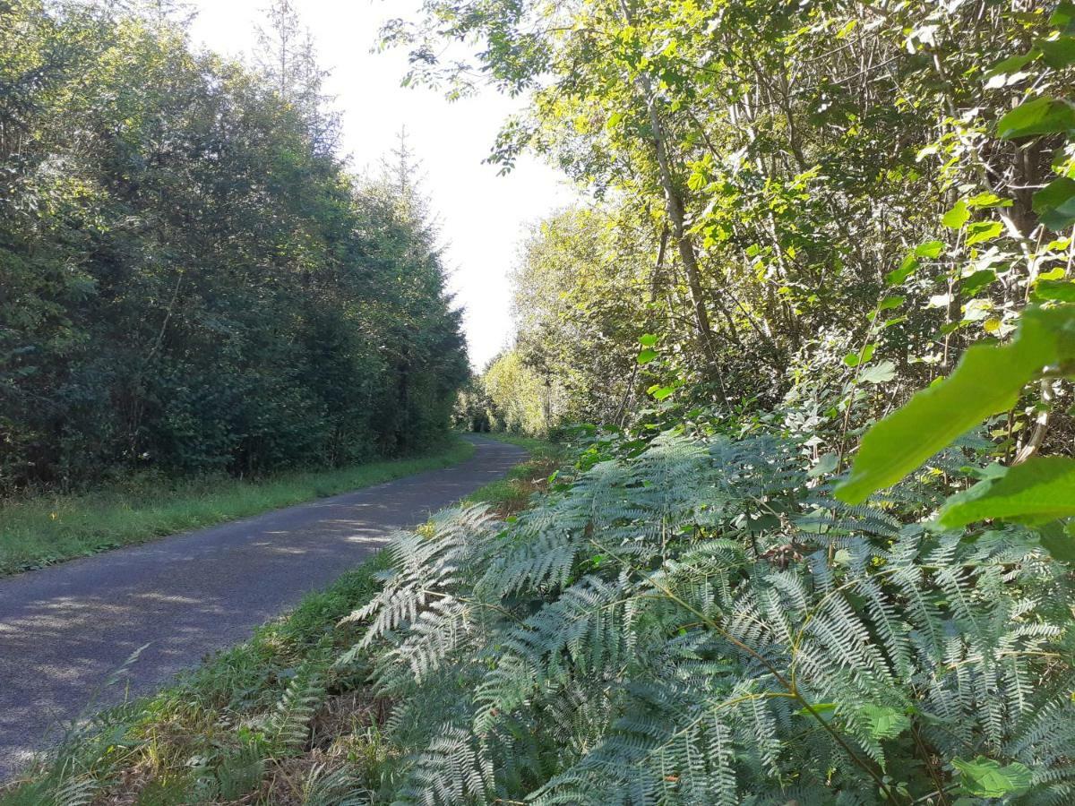 Tig Na Coille B&B Country House Kilkenny Exteriör bild